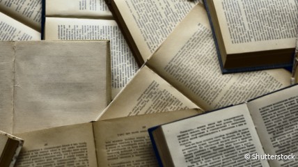 De kracht van literatuur. Teksten die ertoe doen