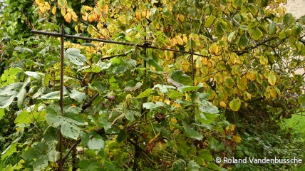 Voor de agenda: Herfstwandeling " Verloren kost "
