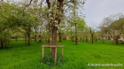 Lentewandeling in Veurne.